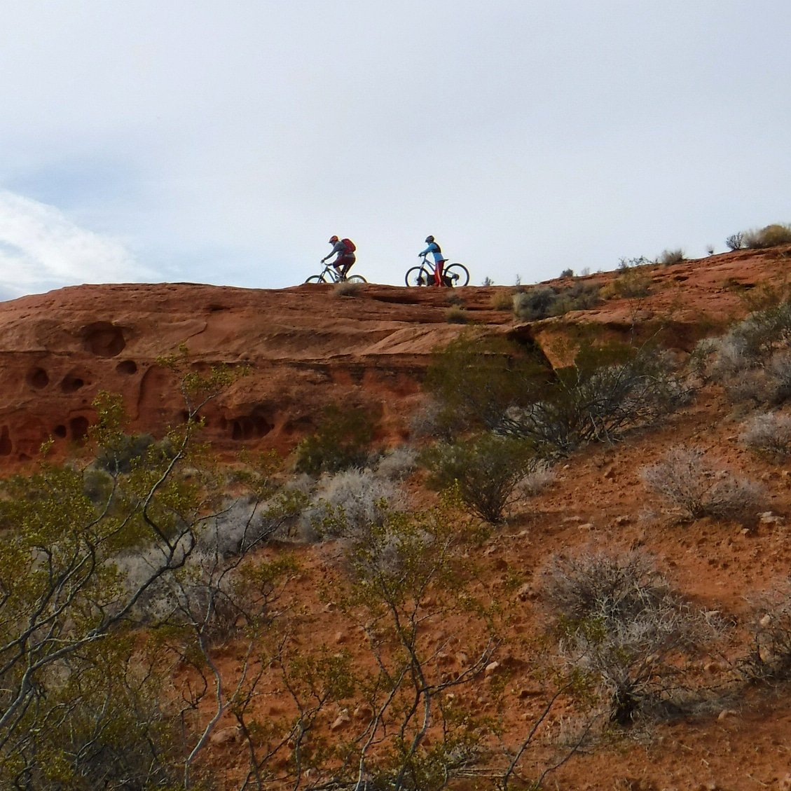 outdoortravella's tweet photo. Biking adventures in the red rocks. #nofilter #nofilterneeded #utah #utahexplored #utahoutdoors #outdoors #outdoorslife #getoutdoors #getoutside #optoutside #neverstopexploring #mtnbiking #biking #singletrack #outdoorskids #adventurekids #littleexplorer #littleadventurer https://t.co/O4QEXng1n8