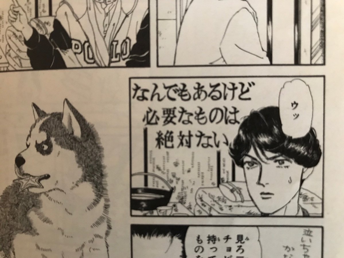 私の動物のお医者さんシンドローム みんな覚えてるあのシーンが次々と カシオミニをかけてもいい 要潤は二階堂 2ページ目 Togetter 私の動物のお医者さんシンドローム みんな覚えてるあのシーンが次々と カシオミニをかけてもいい 要潤は二階堂 2ページ目 Togetter