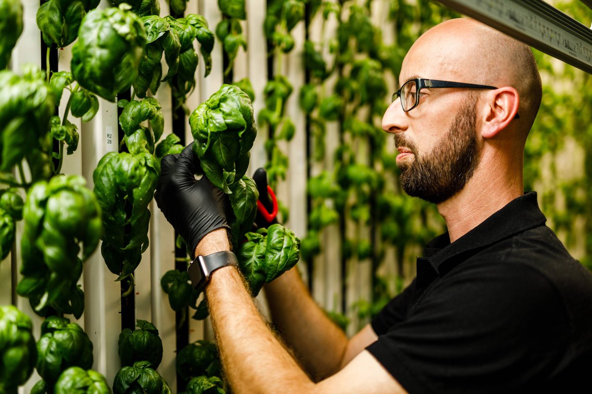 ModularFarmsAU's tweet image. Get a fresh start to your December. #modularfarms #modernfarmer #verticalfarming #indoorag #hydroponics #hyperlocal #future #fresh