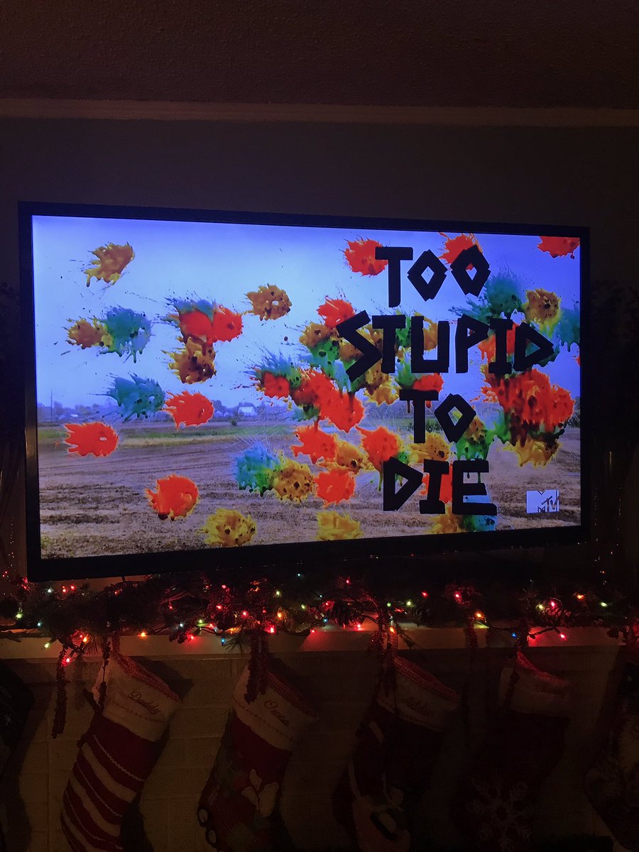 BillTodd1979's tweet photo. Watching #TooStupidToDie. I wait all week for this show. Love it https://t.co/o1iG6yWCLr