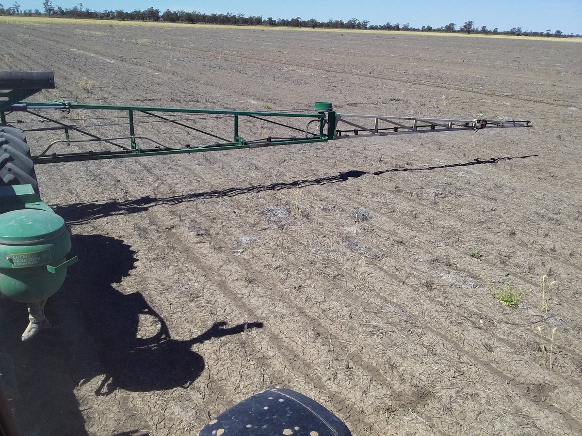Oscarthefarmer's tweet photo. Given the dry and the heat and the doubt,
Of have we emerged or we still in this drought?
Is anyone game,
To spray using Flame β’?
#ausag
#askTwitter
#residual
#plantback https://t.co/QNQY6wflIF