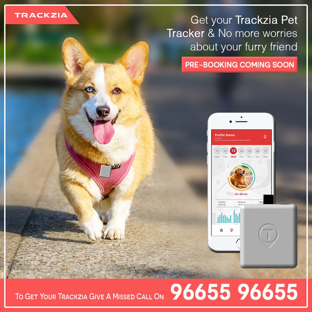 Trackzia's tweet photo. No more worries about your furry friend. With Trackzia, you can easily track the location of your pet in real-time on your device.
To know more about our device, Visit here: https://t.co/30p4ZQVAbp
#Trackzia #PetTracker #PetGPSTracker #PetTrackingDevice #DogPetTracker https://t.co/J5HssrIPaU