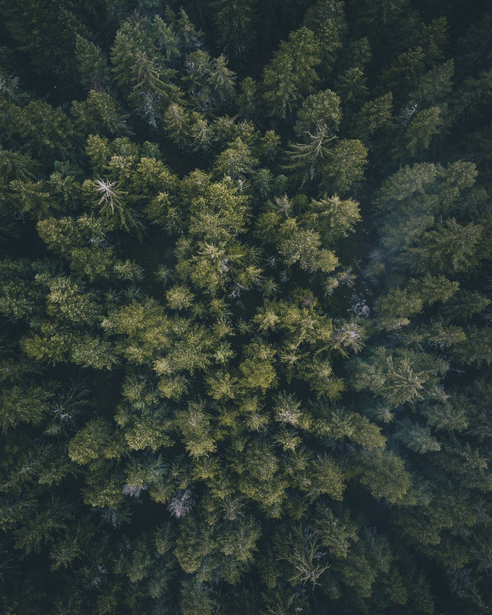 Will Brown tweet media