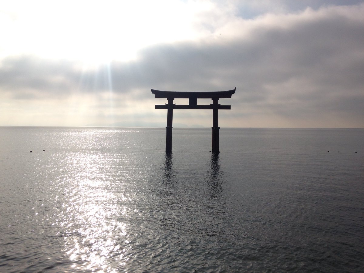 うらのりょうた A Twitter 日本1718景 滋賀県 高島市 に行きました T Co Vatxur3ueb高島市 白鬚神社のまち 1日1景 全市町村制覇 日本一周 メタセコイア 新日本の街路樹百景 白鬚神社 創建1900年 近江地方最古 海津大崎 今津浜 今津港 びわ湖