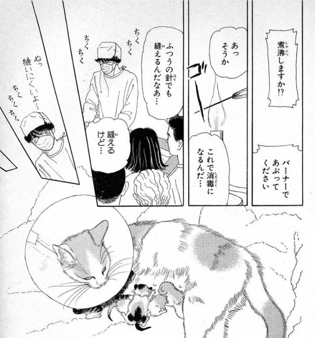 私の動物のお医者さんシンドローム みんな覚えてるあのシーンが次々と カシオミニをかけてもいい 要潤は二階堂 2ページ目 Togetter