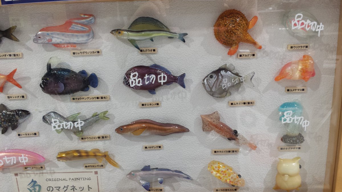 茶畑のワンツリー たかちゃん 沼津港水族館で売られてる お魚マグネットの出来映えが以上に高い件www これ 集めたくなるやろ T Co Pim8fwdebk Twitter