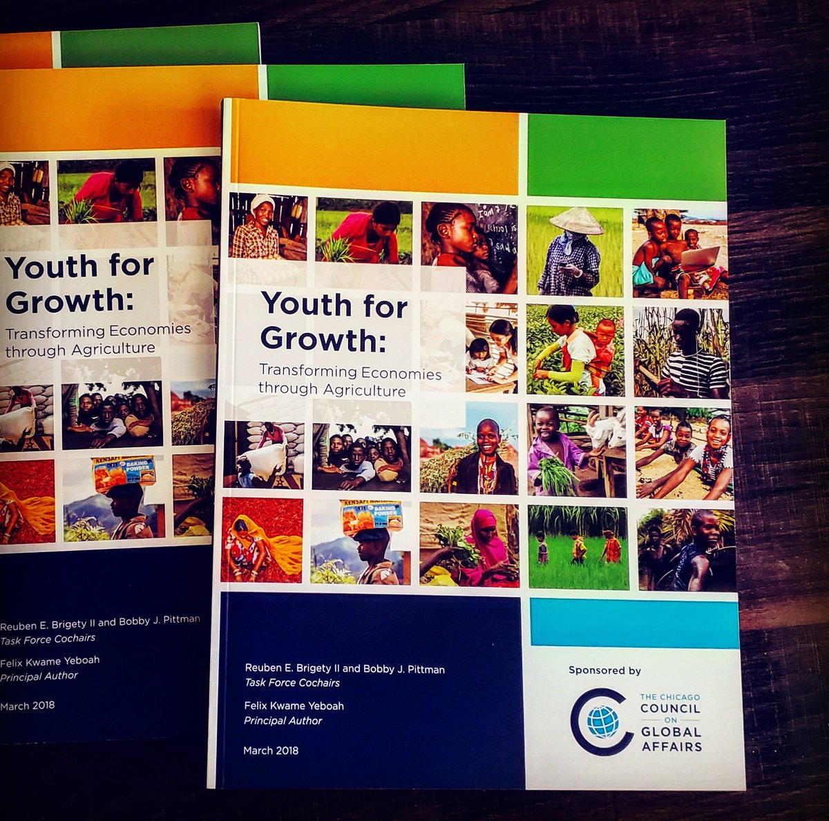 PearlRanna's tweet photo. @Global_AleshaB thank you so much for the Full report on Youth for Growth 💚 ... Early Christmas Gift🍒 https://t.co/Ri4zixAfDy