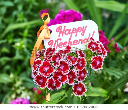 mllnpatna's tweet image. #HappyWeekend 😊😊😁😁😂😂
#Beautifulweekend 🌿🌷🌹🌻🌺🍀💐