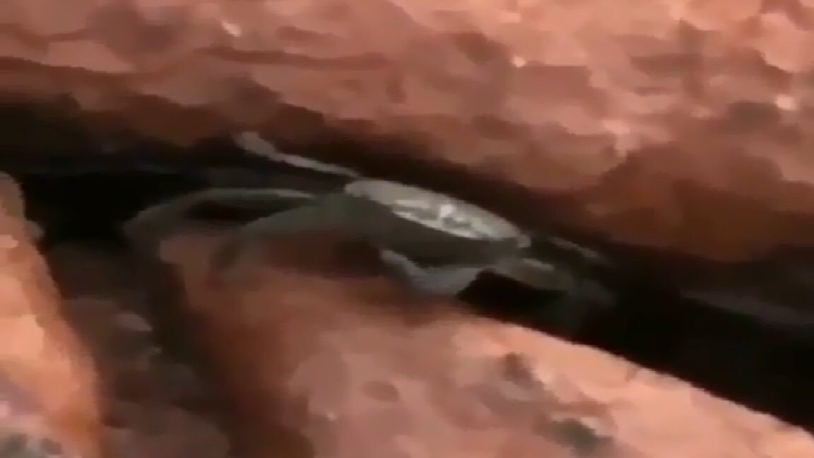 cutthroatcrab's tweet photo. When the prof says you can make your own group and you accidentally make eye contact with your enemy https://t.co/jkAlNJUBry
