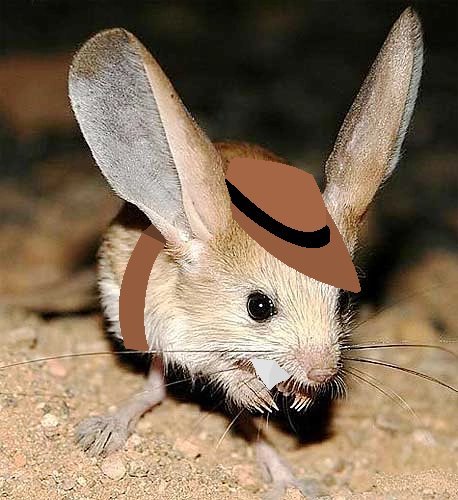 roserascal's tweet image. You're welcome~