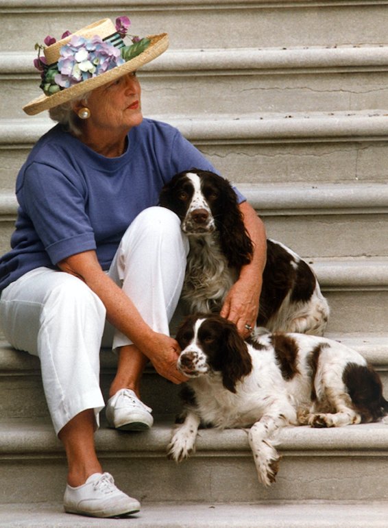 KateBennett_DC's tweet image. Barbara Bush used to sit on the steps of the South Portico at the White House, waiting for George Bush to return from trips. I thought of this picture tonight, and how happy she must be that he's coming home to her again.