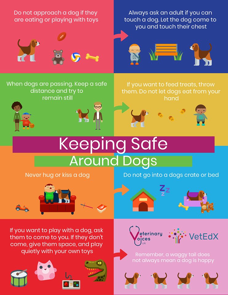 Doggosphere's tweet image. A number of studies suggest that both children and adults misinterpret dog facial expressions and body language. Teaching children how to act around dogs is fundamental to reduce the risk of bites #dogsandchildren via @UKVetVoices