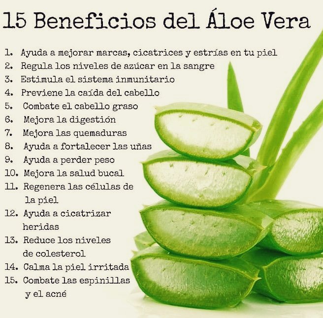 inbapu's tweet photo. Sirve para tratar diversos problemas de la #piel, blanquear los #dientes o las manchas y para aliviar #dolores, #psoriasis, #antiacné, #quemaduras, #picaduras, #gastritis, #úlceras y #estreñimiento. #planta #beneficios #naturaleza https://t.co/yYlIzkCrkN