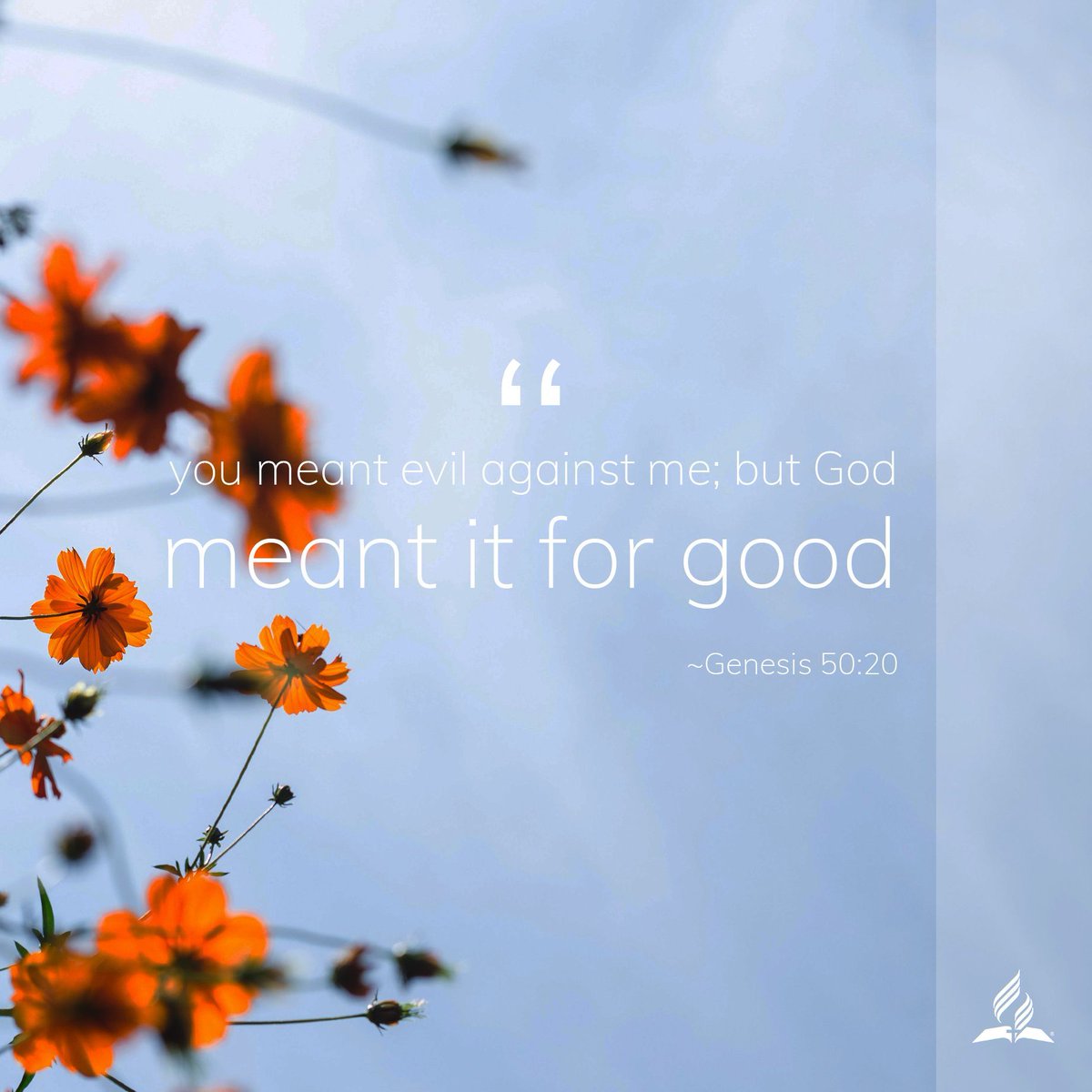 Revive_Reform's tweet image. We can’t always understand the painful circumstances that comes, but God has a thousand ways to turn things around. He can take bad situations and turn them for His glory and our good. buff.ly/2FF0IB1 #BHP20 #howgreatisourGod #praiseGod #forHisglory #evil #good #praise