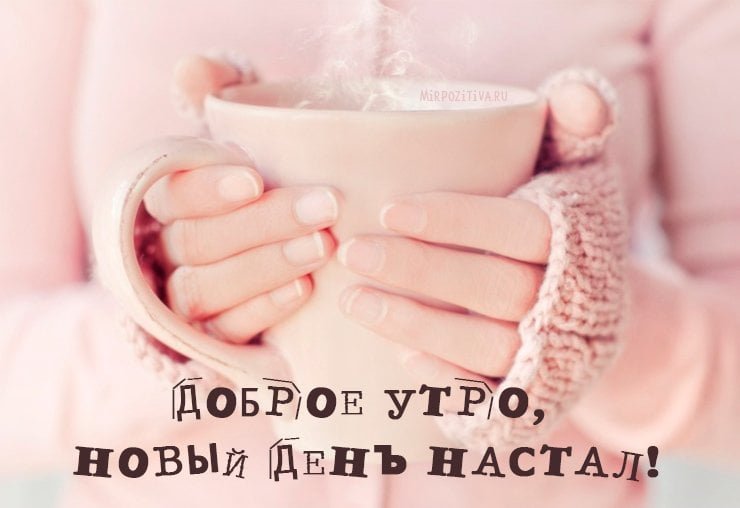 Картинки на телефон доброе утро милый и хорошего