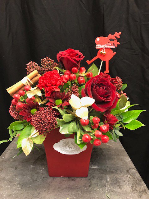 RodgersFlorist's tweet photo. Fresh Festive Floral Arrangements in-store
Pop in to see our full range 🎄🌹💐
Open today 8:30am-5:30pm

#SmallBusinessSaturday
#ShopLocalInterflora https://t.co/8K1NefvAbj