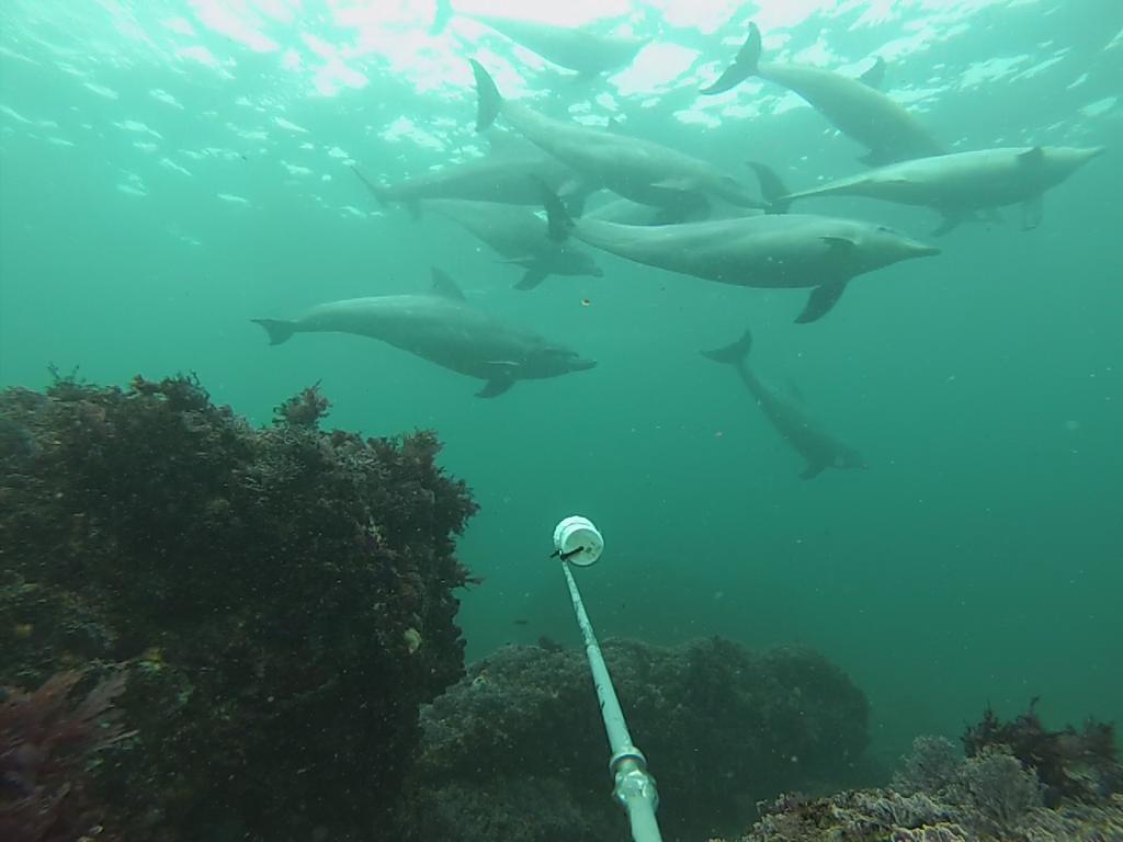 KyleSmith00's tweet photo. Looking forward to the first African Bioacoustics Conference #AfricanAcoustics. New field of research for me so looking forward to networking and learning more about this field. #ABCommunity2018 https://t.co/Ql9lHDKPbl