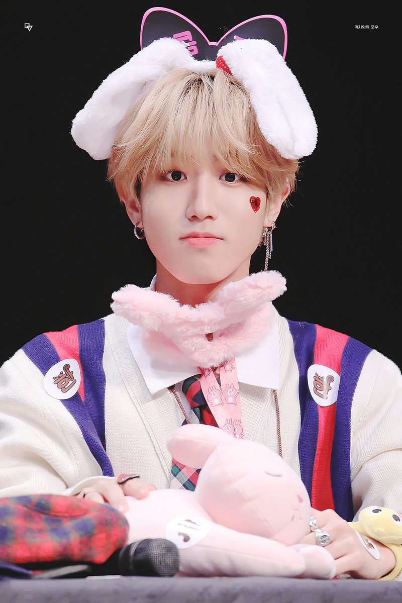 encounter0914's tweet photo. 강아지 고양이 햄스터 다람쥐 어쩌구 저쩌구 세상 귀여운거 지성이 다 해.. 🥰 https://t.co/O2xFkTENjj