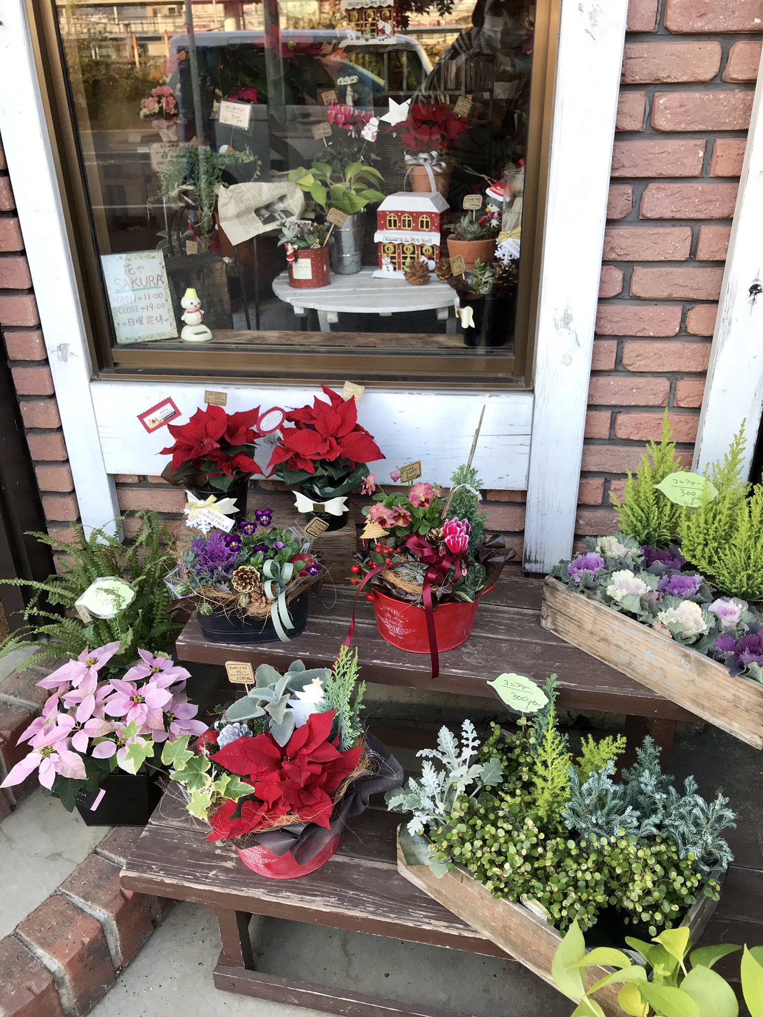 大船ランチガイド Ofuna Net 大船駅西口に 小さな可愛いお花屋さんがあります 今日は 玄関先に飾るように 小さなガーデンシクラメンを買いました 300円と安かったです お花屋さんの前通るの 好きなので 歩道橋に上がらないで駅に向かいます W