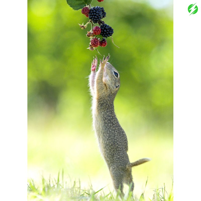 StoryTrender's tweet image. Only #short people can relate... 😤🙄

#shortproblems