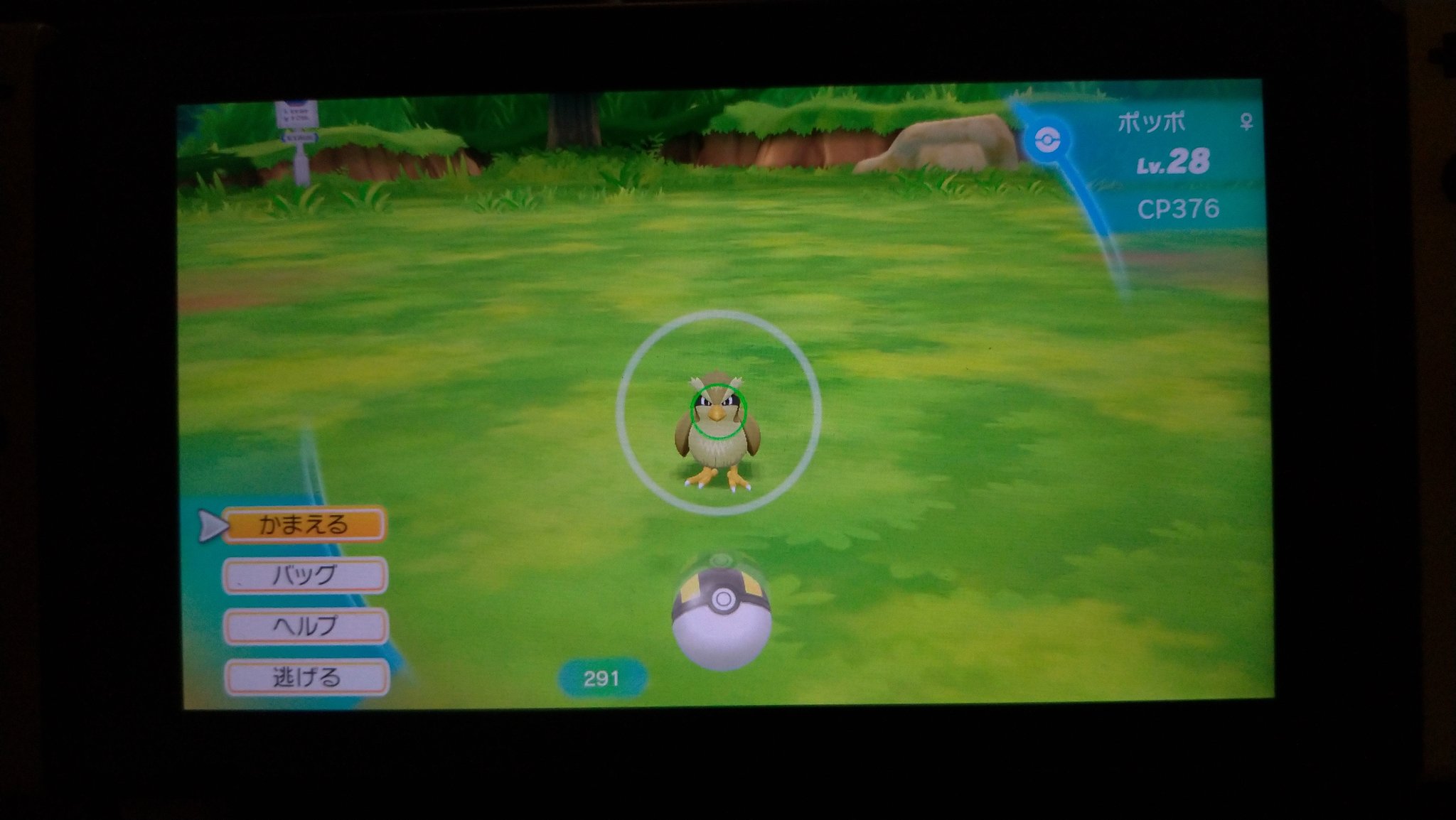 かずき Webmobile フォロバ99 En Twitter 色違いポッポ 初ゲット 0連鎖 ピカブイ ポケモン 色違いポケモン レッツゴーピカチュウ Pokemon ひかるおまもり T Co Evqegsrpba Twitter