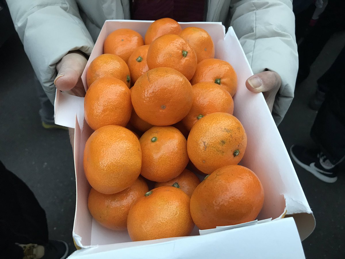 민주당사앞 청변님 귤 🍊 맛있게 먹고 있어요! 고맙습니다.