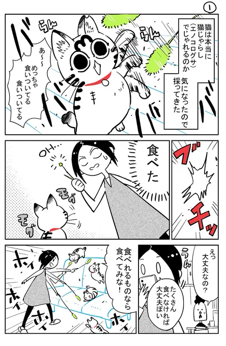 猫飼いました  22 