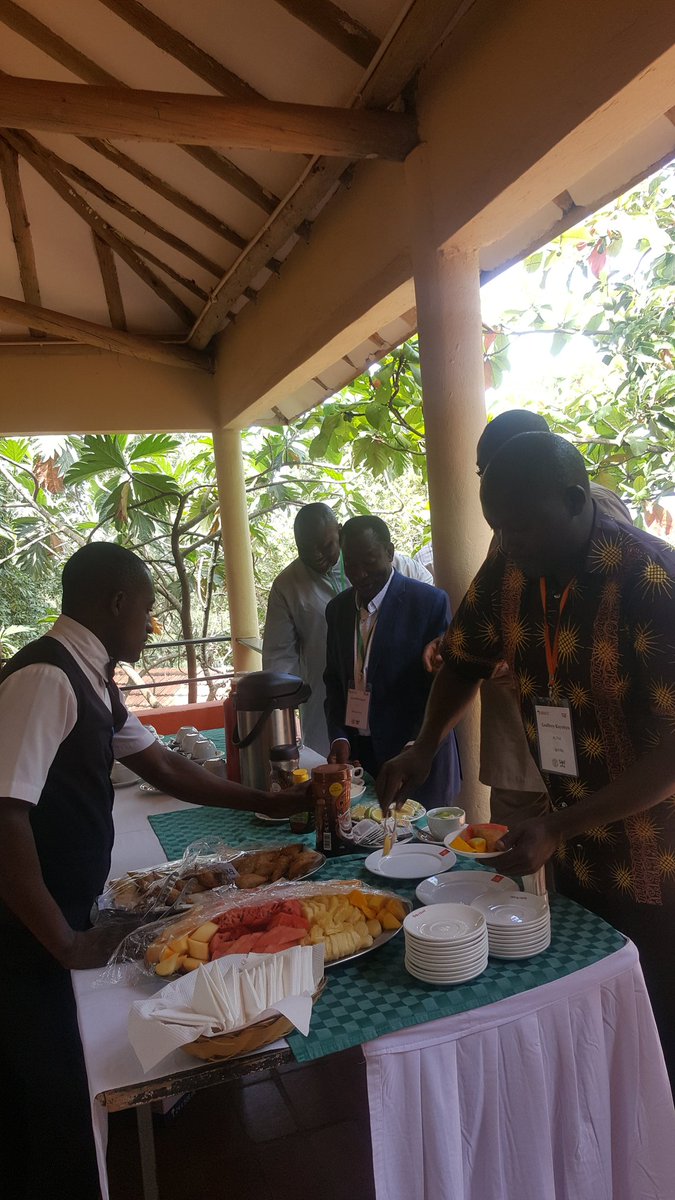 MakCAES's tweet image. Tea break as presentations are next immediately after.  #GREATTLIIICourse