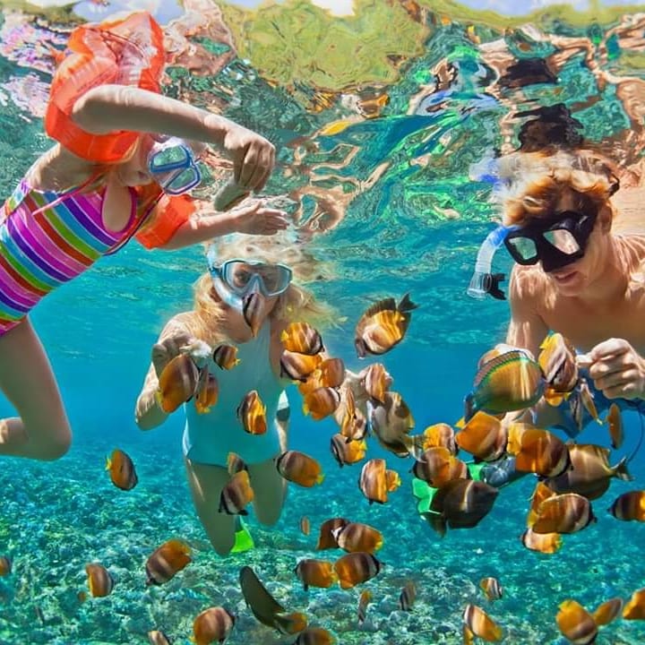 RFujairah's tweet photo. What kind of #adventure will you go on this #holiday?
We hope it is as thrilling #kayaking or snorkeling through at Radisson Fujairah! #RadissonBlu #DibbaBlu https://t.co/i1zWM6Aqqq