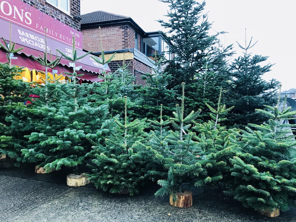 Wheildons's tweet photo. Everything has gone green! Our non drop 🎄🎄🎄 #ChristmasTrees are in #Didsbury https://t.co/ygS6QOO63l