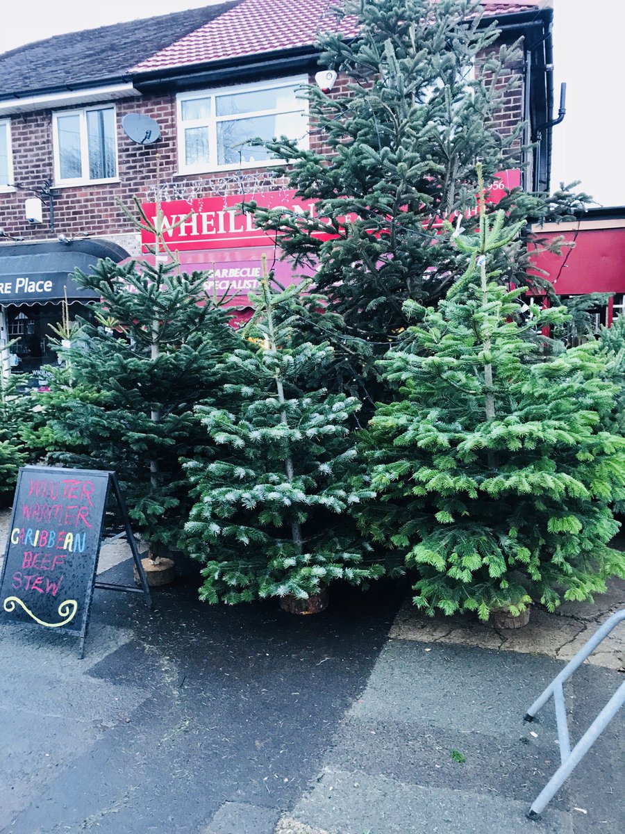 Wheildons's tweet photo. Everything has gone green! Our non drop 🎄🎄🎄 #ChristmasTrees are in #Didsbury https://t.co/ygS6QOO63l