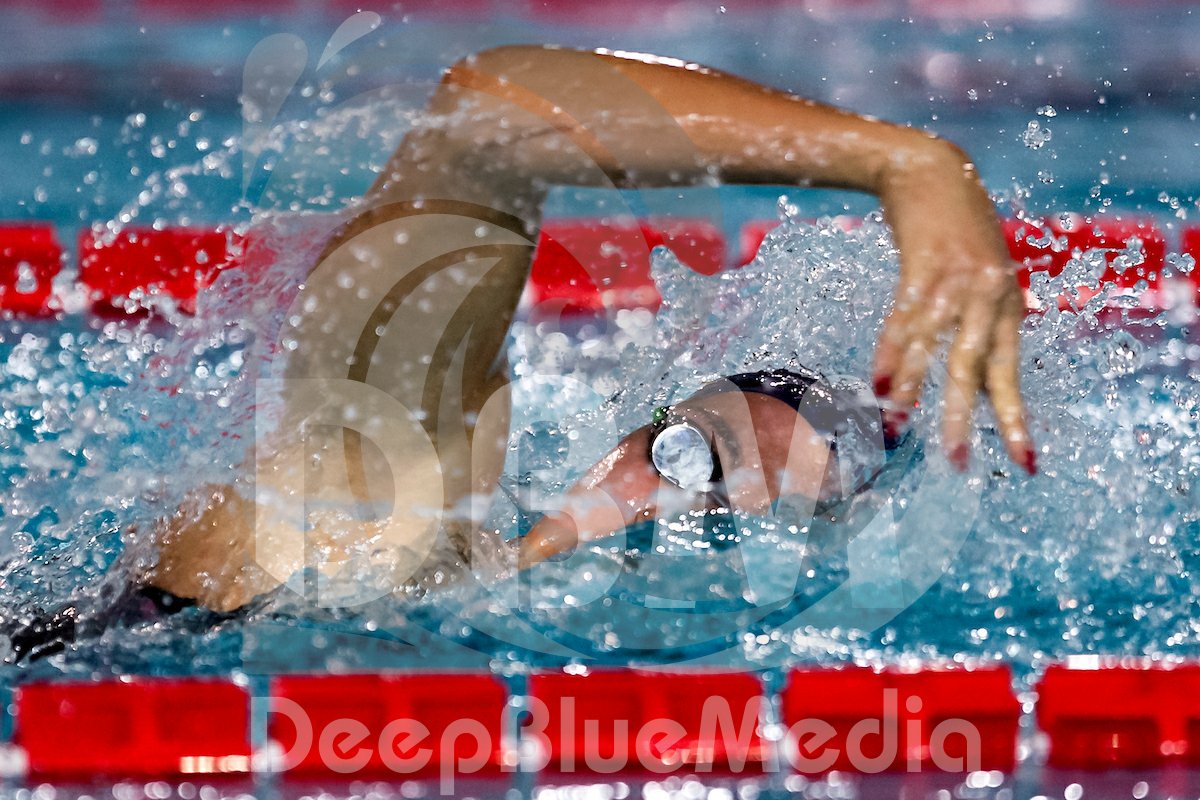 Appena iniziata la 2° giornata di gare agli 🇮🇹 #assoluti2018! 🏊‍♀️🏊‍♂️
Siete pronti a godervi un sabato clorato?
Anche oggi i nostri Andrea Staccioli e Andrea Masini scatterranno splendide foto!
📸 non perdetele su ➡️ bit.ly/2RqGbBm
#nuoto #italnuoto 
#deepbluemediateam