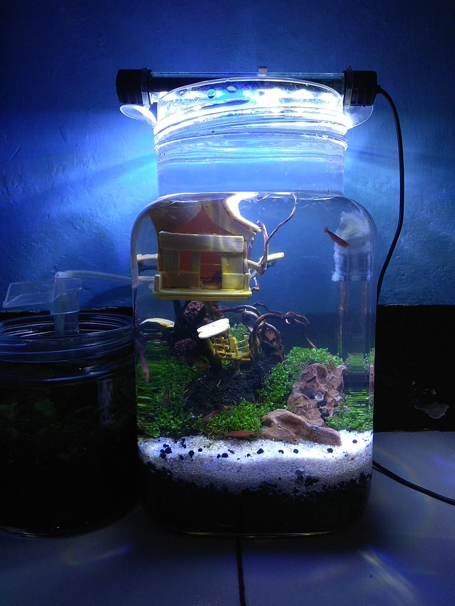 Aquscape88c Aquscape88c Twitter