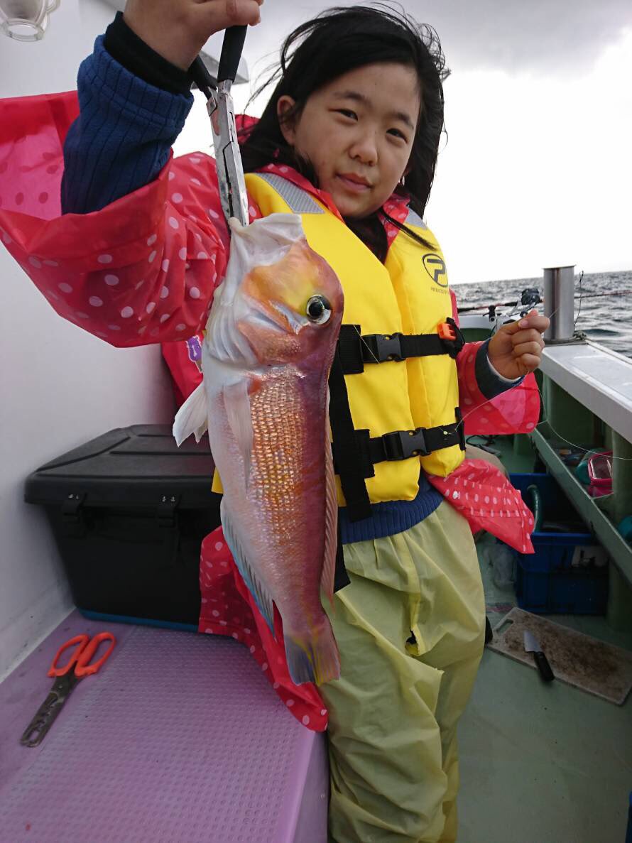 サンスポ関西公式つり速報 A Twitter 新幸丸 京都府宮津市 １日のアマダイ釣りその1 アマダイ23 41センチ66匹 レンコ33匹 イトヨリ アオハタ10匹 ツヌケの方は2名でした つり 釣り フィッシング Fishing 京都 宮津 新幸丸 沖メバル ホッケ シロソイ