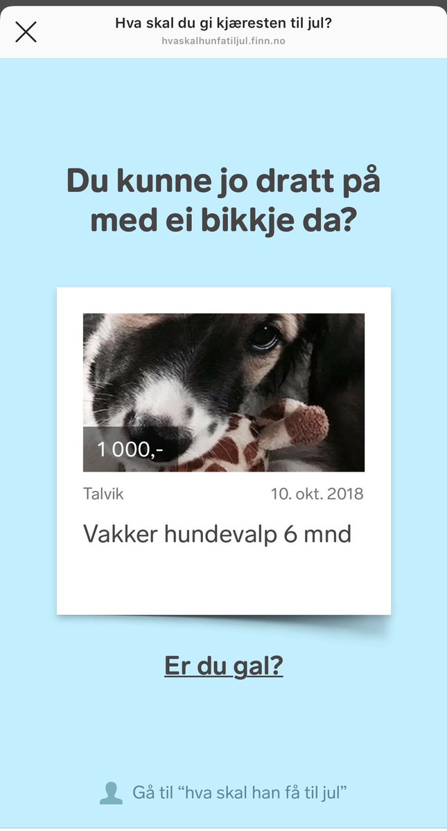 Åååh, dette er så bra, <a href="/FINN_tech/">FINN Technology</a>! hvaskalhunfatiljul.finn.no