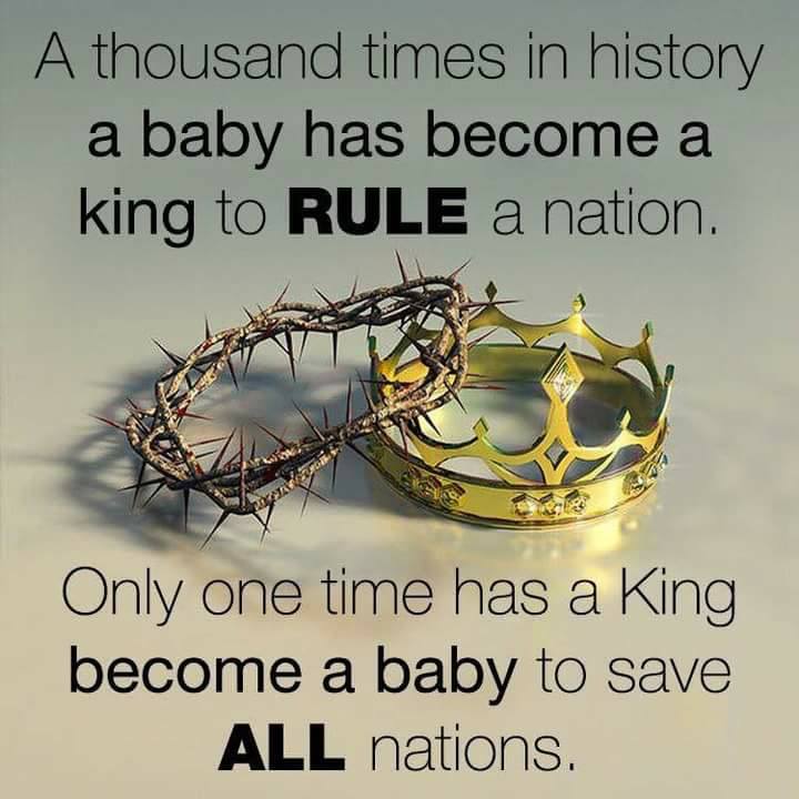 umi_uzi's tweet photo. #King!! 💓💓💓💓
A #lion is called a "King_Of_Beasts" obviously for a reason... 
#umiuzi #rules #kingquote #babyrules #inspirationalquotes #quoteoftheday #inspiration #motivation #lifequotes https://t.co/vwW5gE0Wj2
