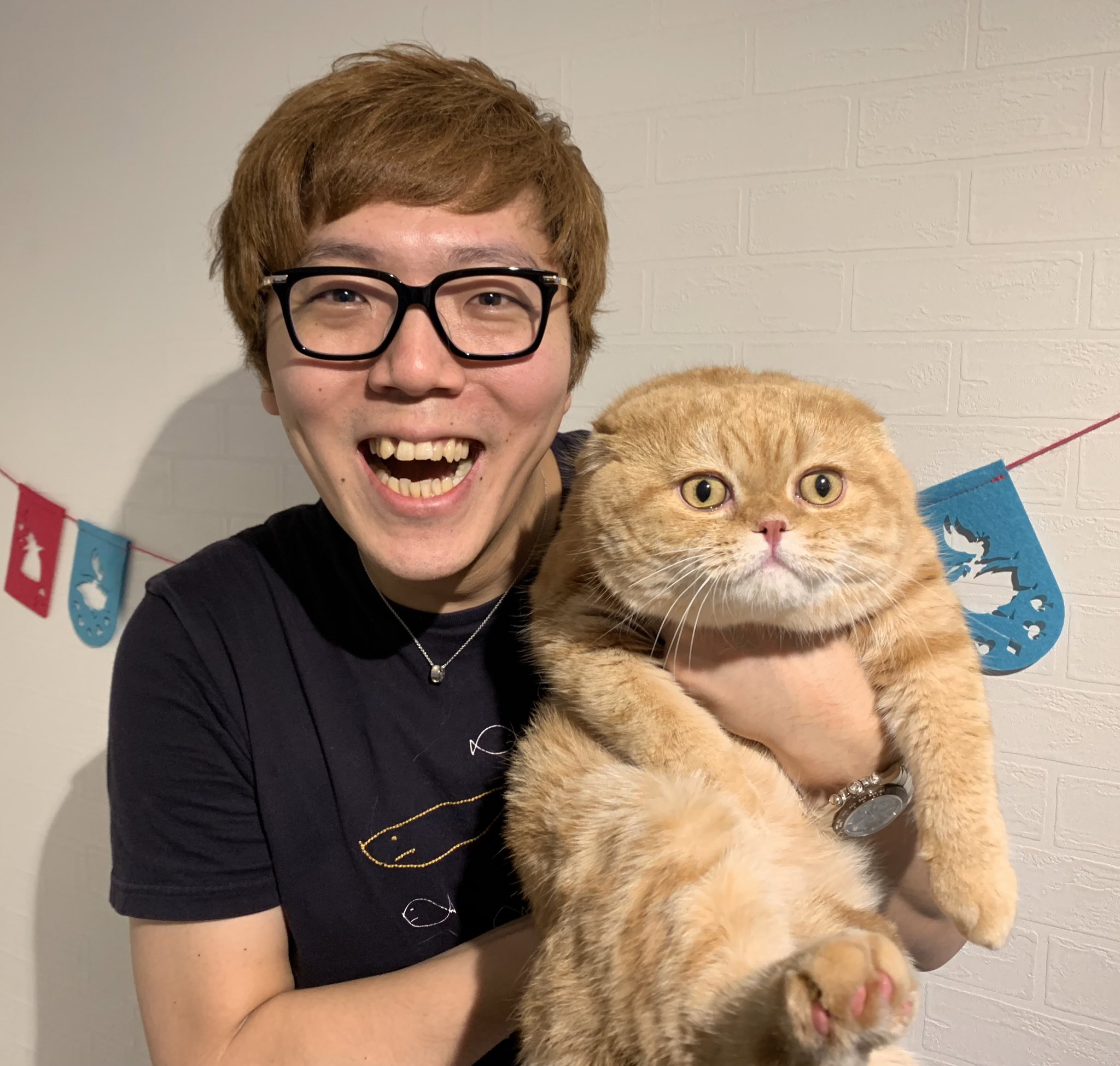 Hikakin ヒカキン Youtuber まるお もふこのパパ もはや人形かと思いました デカすぎ W まるお もふこ 猫 T Co 3go4tjwlli Twitter