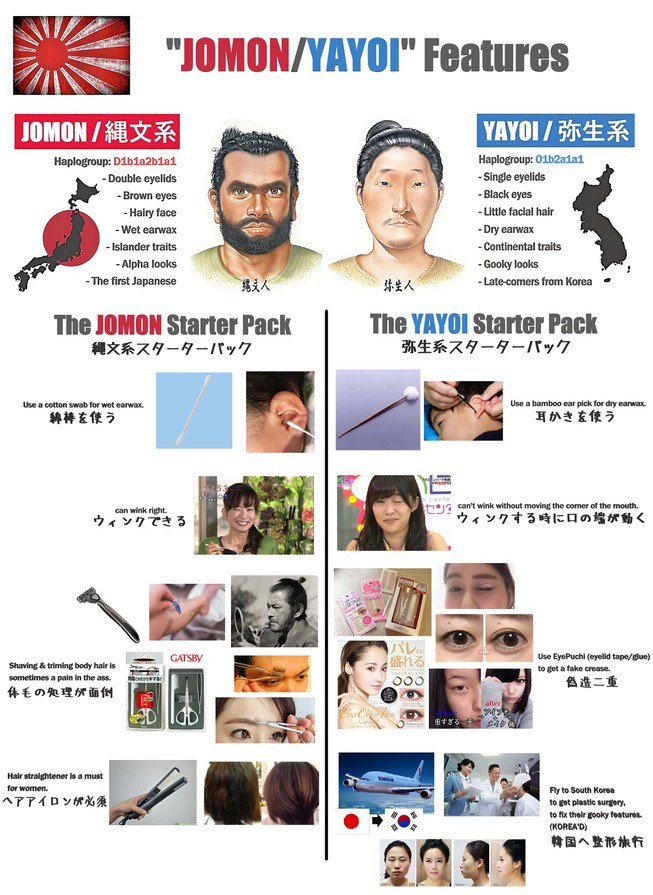 海外の万国反応記 日本 縄文系と弥生系の違いを外国人のためにまとめてみた T Co C1y2fvdlgf 海外の万国反応記 日本 縄文系と弥生系の違いを外国人のためにまとめてみた T Co C1y2fvdlgf