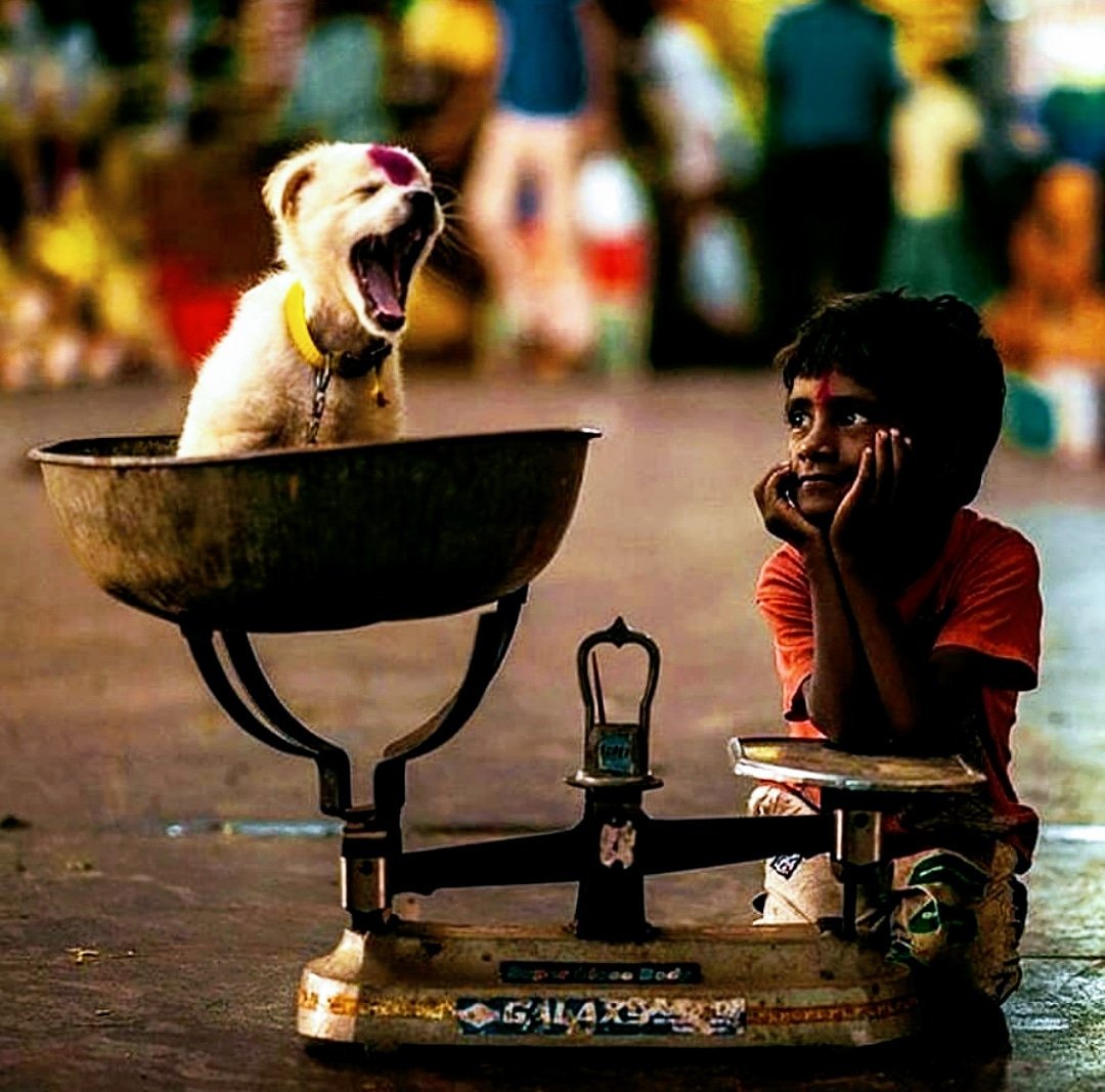 AgraMagazine's tweet photo. Smile is trademark of Happiness. Someone Else is happy less than what you have ? Exclusive By Agra Now Magazine. #exclusive By #agranowmagazine. @AgraMagazine #happinessquotes #happiness #smile #love #care of #others. https://t.co/vG7c7NvZjn