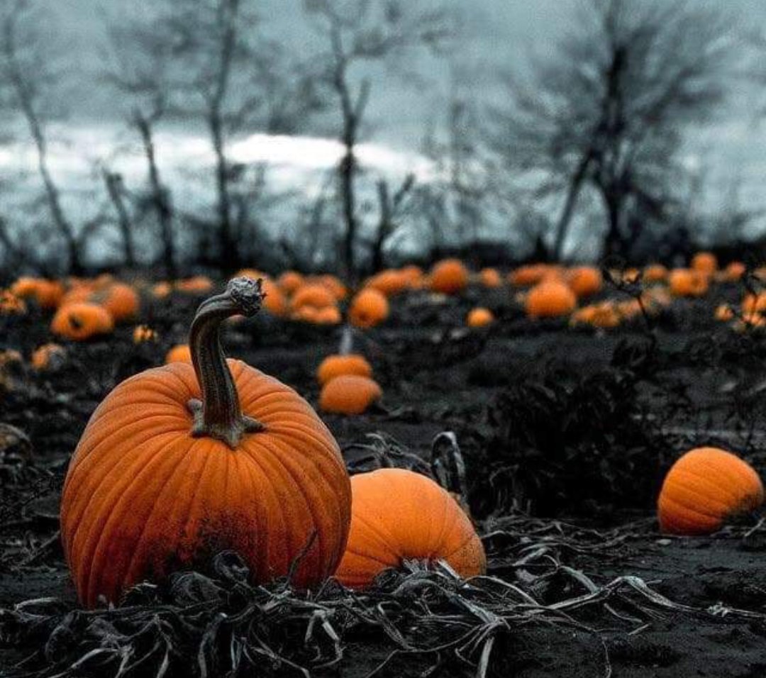 There is still a lot of love, freedom and madness between us. If only we forget a little bit of our small fractions.