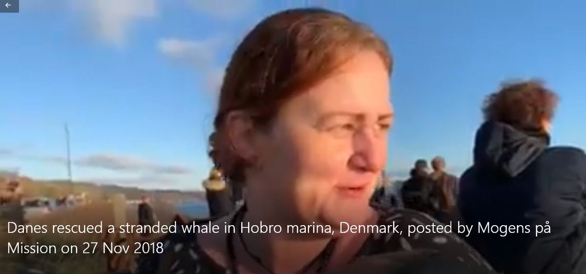 dolphin_angels's tweet photo. (3/3) .@Tinganes Dramatic #rescue of stranded #minke #whale in #Hobro #marina. Susanne Sand from #Astrup & two men jumped into cold water & tugged the 10-meter long whale into the #fjord Video→https://t.co/UgTyyZf1UA #Tinganes #FaroeIslands #Denmark https://t.co/MpekAJoUXL