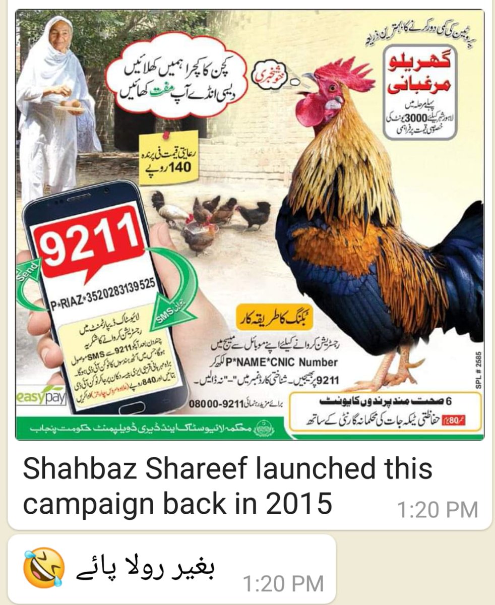 abeerhamid's tweet photo. @ImranKhanPTI https://t.co/UdyNuwEKrQ