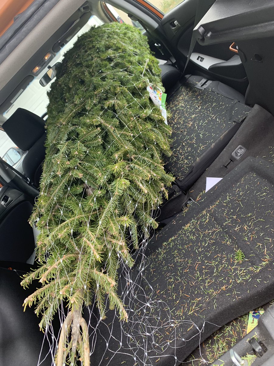 dogwitkeys420's tweet image. My wife asked me to get one of those pine tree air fresheners that you hang from your rear view mirror. I’ve always considered myself an overachiever.