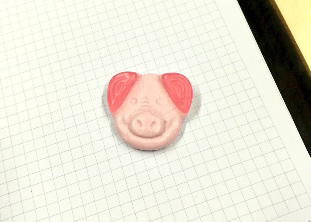 Sandy Hoffmann tweet media