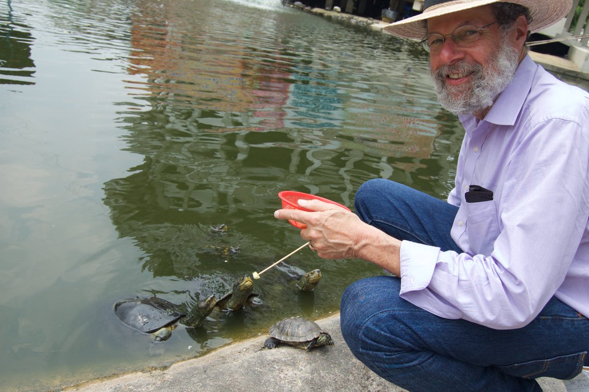 Another Dreaming in Turtle review: "Laufer, calls turtles 'the canaries in the coalmine called Earth where we all live,' views saving them  'of existential importance to us all,' and his love of [turtles] and the lore he includes makes this a highly readable book."―Kirkus Reviews