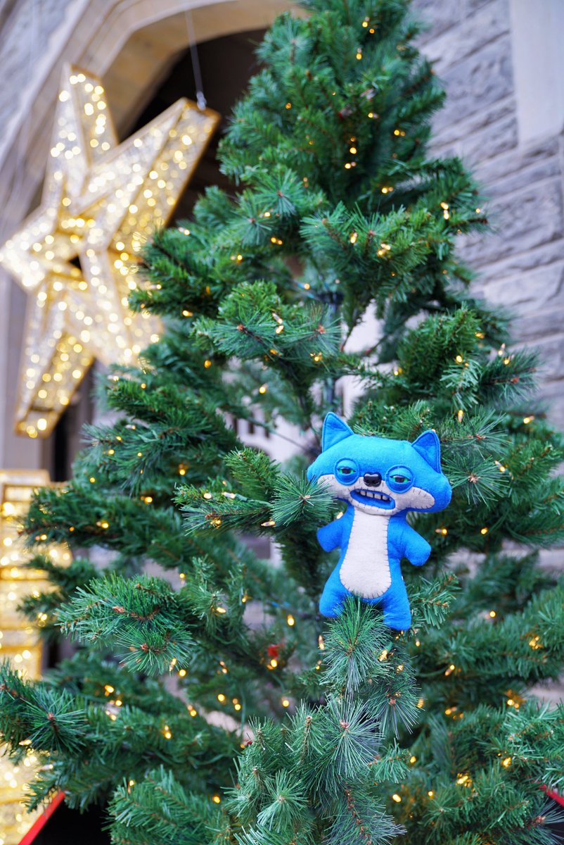 Toquestagrams's tweet photo. my dad human said “look nice for a christmas photo.” i did what i could and then i tried to eat the tree. turns out it was plastic.🎄🏰 #Toquestagrams https://t.co/p0BfBPLbhs