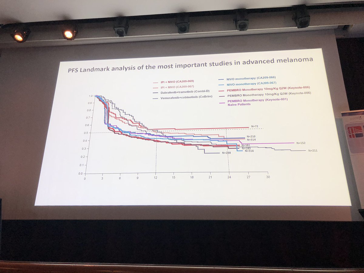 BernardAFox's tweet photo. The next GREAT DEBATE is starting - @PAscierto &amp; @OmidHamidMD  cameo by @PaulosLab #bridge18 #bridge2018 @MelanomaNetwork @FondMelanoma https://t.co/wUbsMubV84