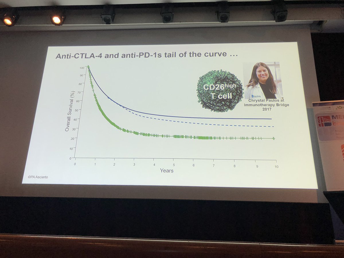 BernardAFox's tweet photo. The next GREAT DEBATE is starting - @PAscierto &amp; @OmidHamidMD  cameo by @PaulosLab #bridge18 #bridge2018 @MelanomaNetwork @FondMelanoma https://t.co/wUbsMubV84