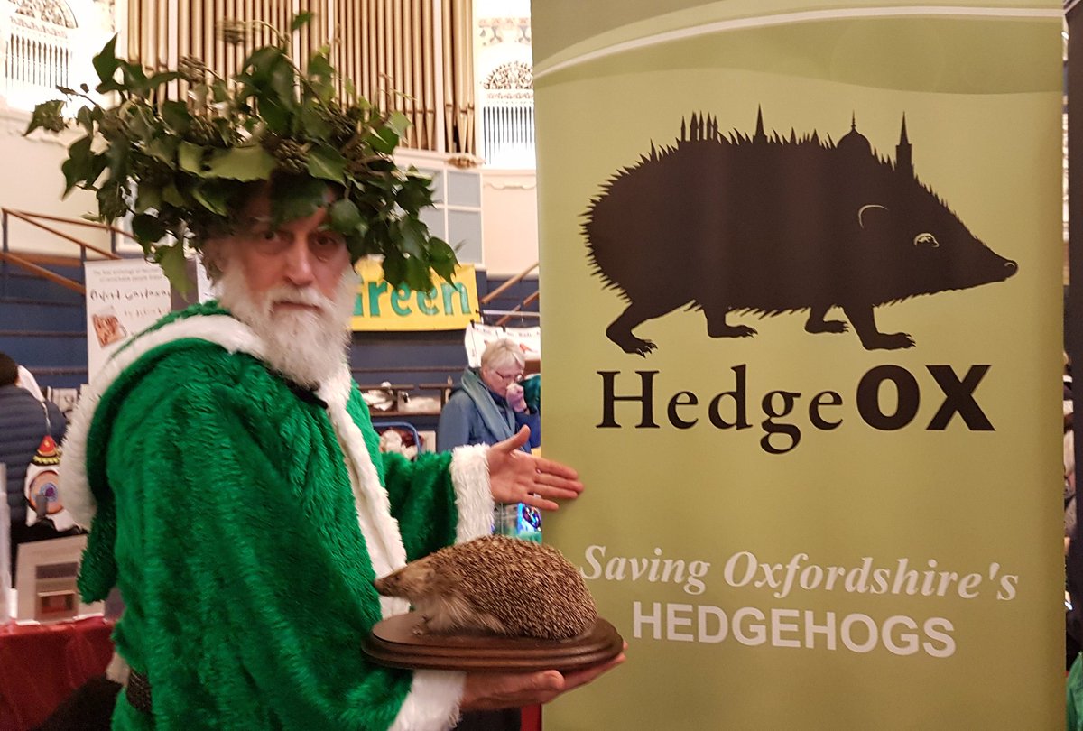 cameraZoe's tweet photo. The green man @tracker_bob at the #HedgeOx stall at the #OxfordGreenFair. https://t.co/q1ma0HC6Rf