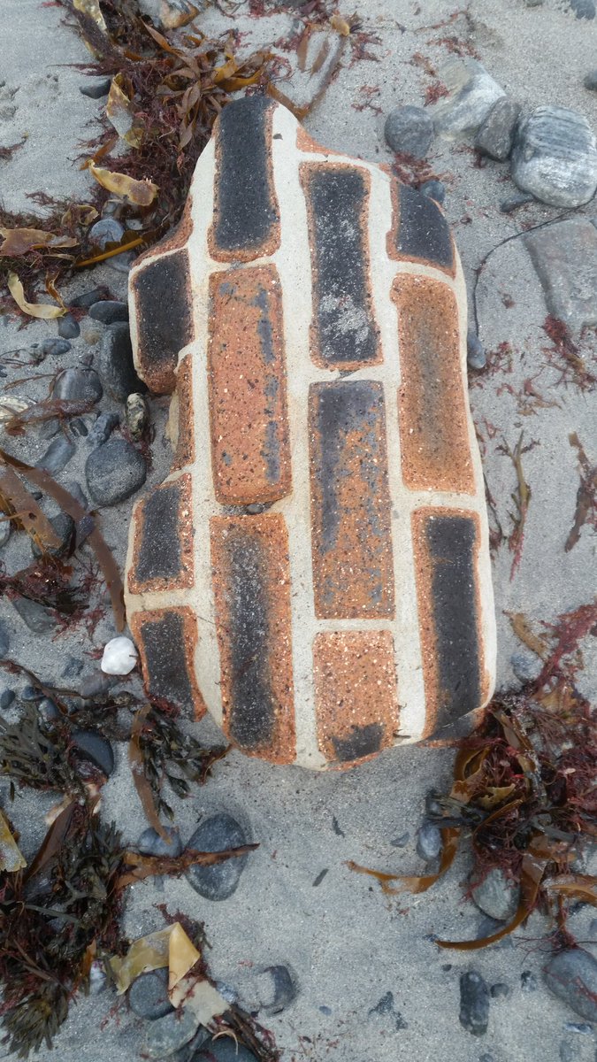 ceeebird's tweet image. Love the little things on my #dailydogwalk #Benbecula #beachstuff #lifesabeach